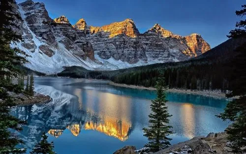 网络化独特智慧城市